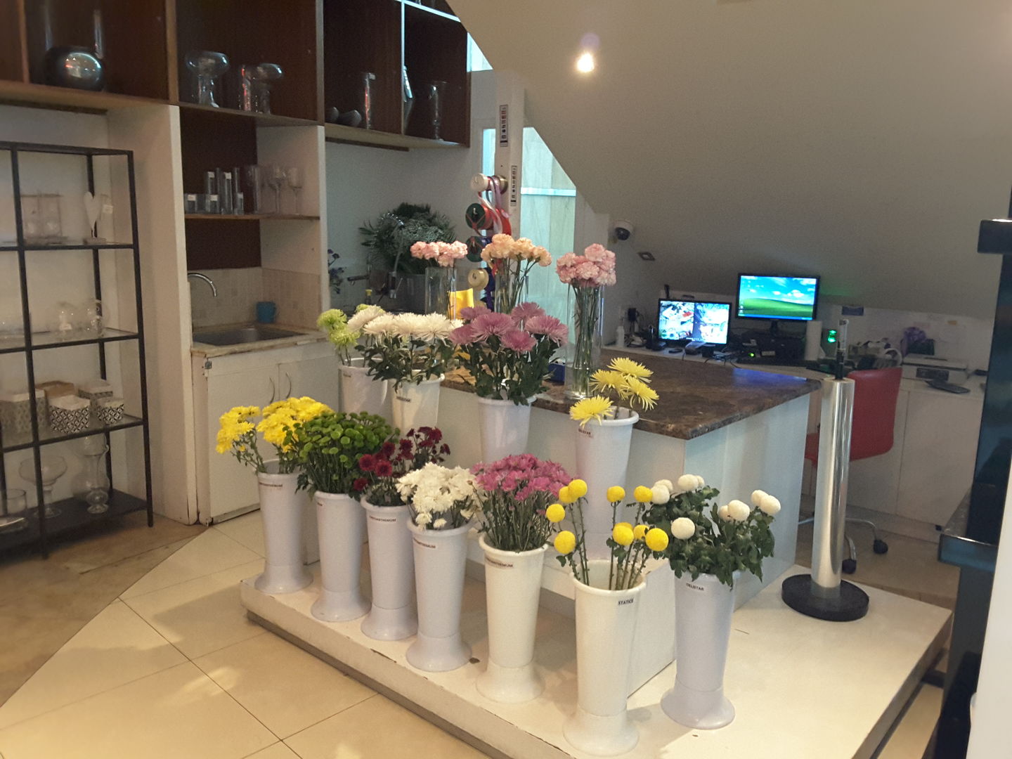 HiDubai-business-mzvaz-flowers-animals-pets-plants-plants-gardening-stores-jumeirah-beach-residence-marsa-dubai-dubai-2