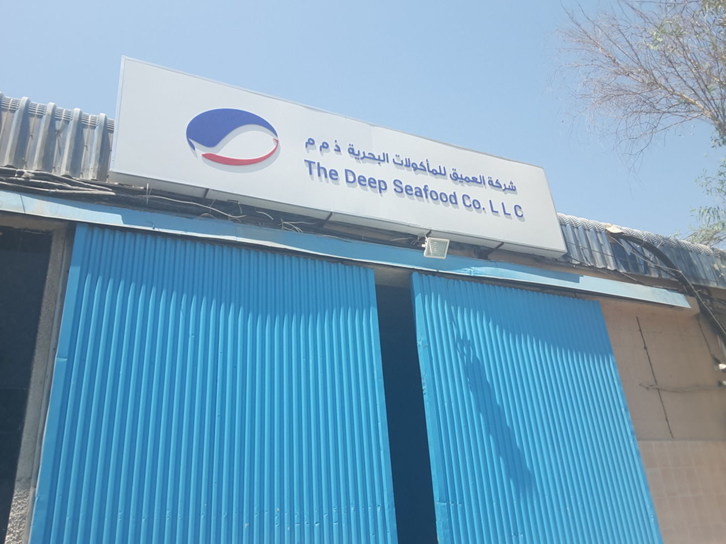 HiDubai-business-the-deep-seafood-b2b-services-food-stuff-trading-umm-ramool-dubai-2