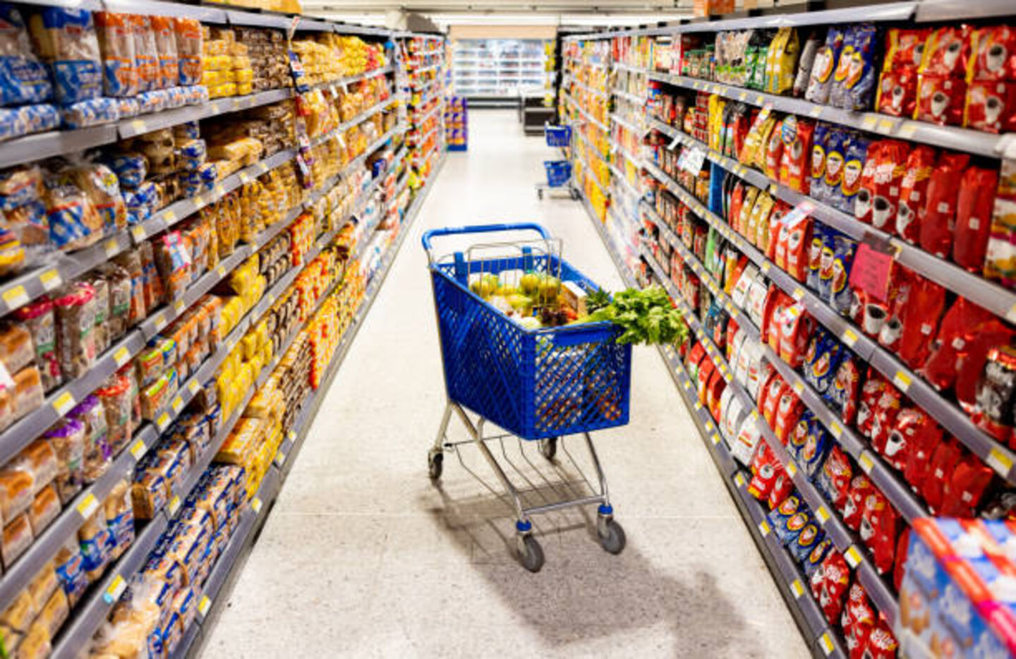 HiDubai-business-wadi-al-telal-supermarket-shopping-supermarkets-hypermarkets-grocery-stores-al-fahidi-al-souq-al-kabeer-dubai