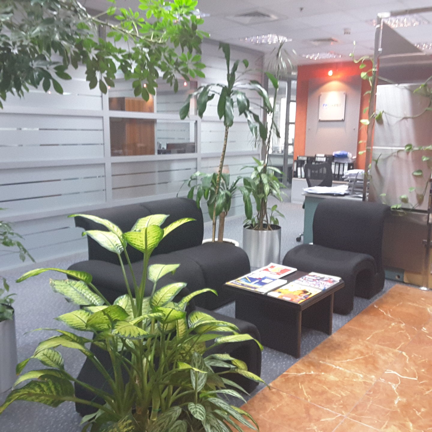 HiDubai-business-exclusive-management-consulting-b2b-services-management-consultants-riggat-al-buteen-dubai-2