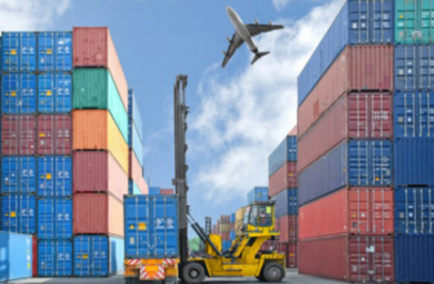 HiDubai-business-ports-shipping-shipping-logistics-sea-cargo-services-jebel-ali-free-zone-mena-jebel-ali-dubai