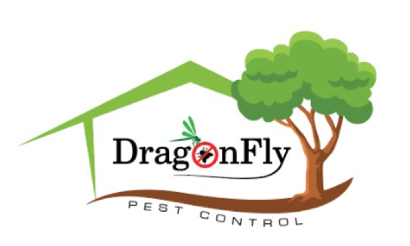 HiDubai-business-dragon-fly-services-home-pest-control-disinfection-services-al-baraha-dubai