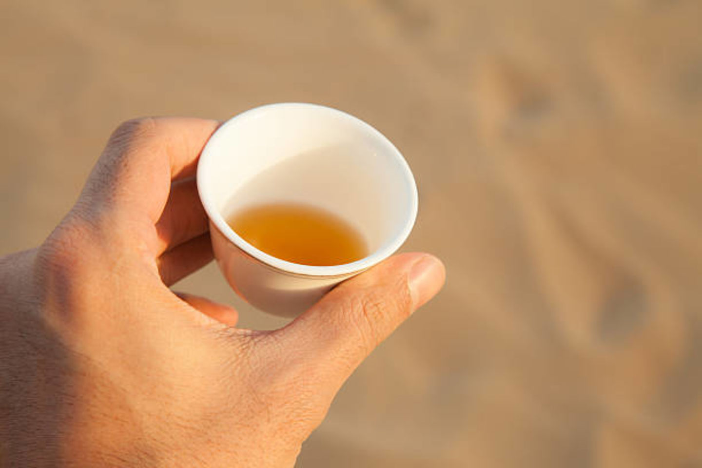 HiDubai-business-mazaj-al-qahwa-cafe-food-beverage-restaurants-bars-jumeirah-3-dubai