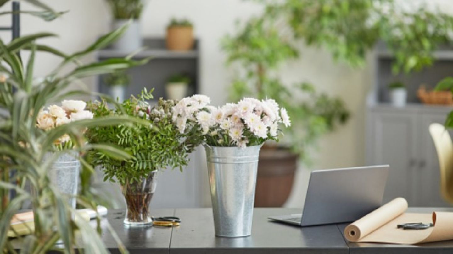 HiDubai-business-life-in-bloom-flower-shop-animals-pets-plants-plants-gardening-stores-al-jadaf-dubai