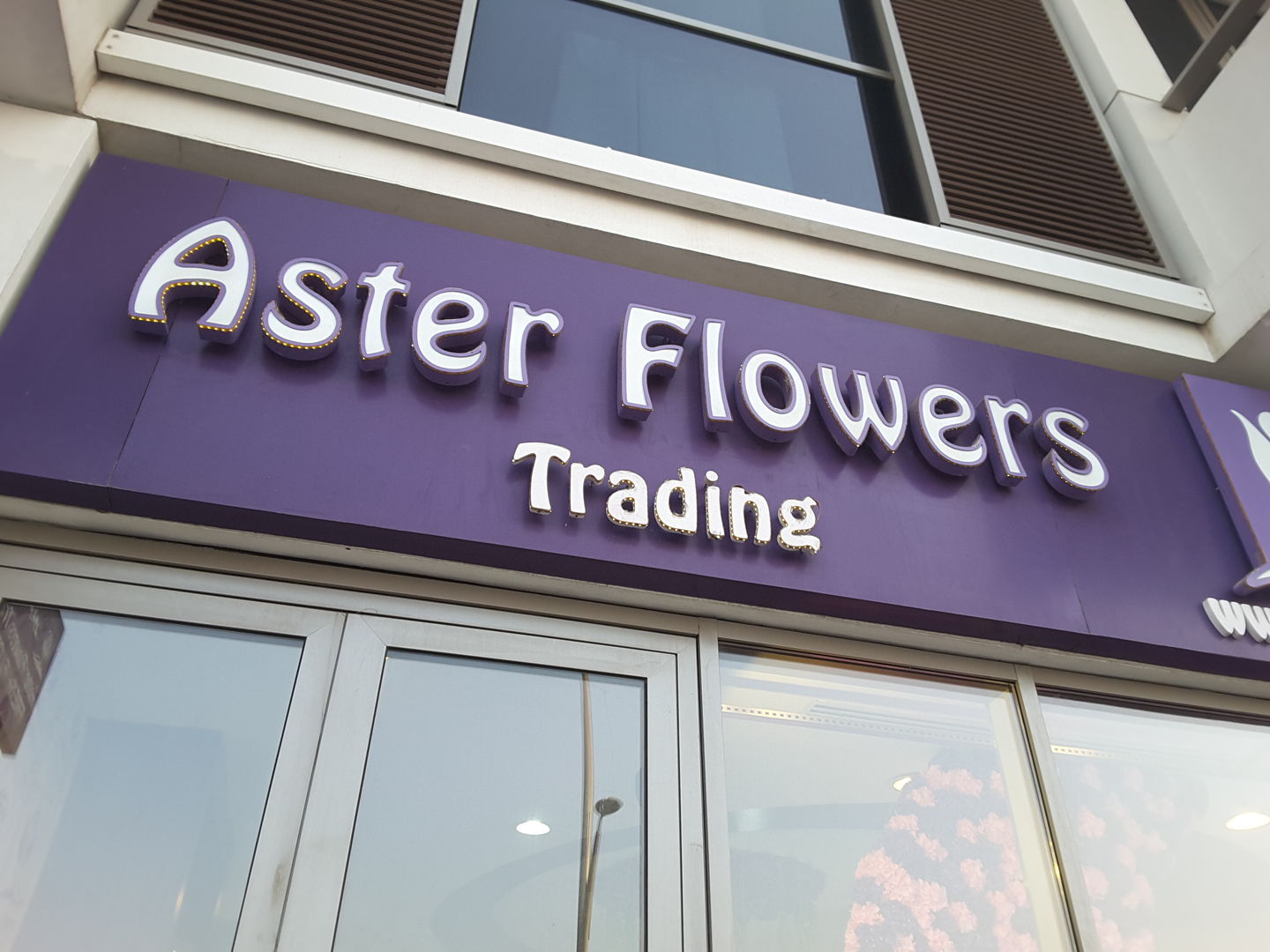 HiDubai-business-aster-flower-trading-animals-pets-plants-plants-gardening-stores-al-wasl-dubai-2