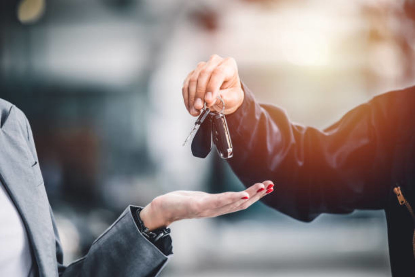 HiDubai-business-new-concorde-international-general-trading-l-l-c-transport-vehicle-services-used-car-dealers-al-quoz-industrial-4-dubai