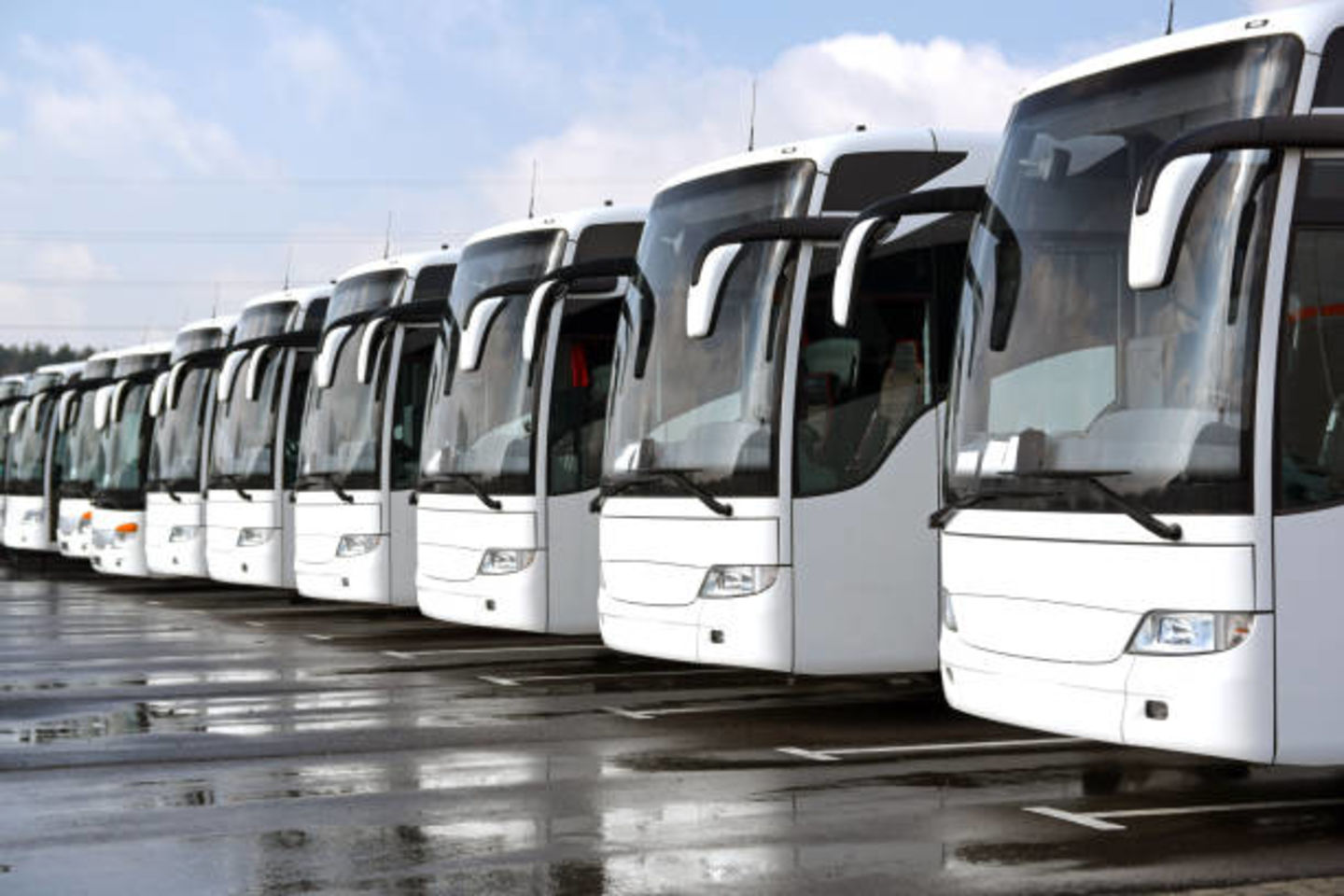 HiDubai-business-essa-hassan-ibrahim-passengers-transport-by-rental-buses-l-l-c-transport-vehicle-services-private-transport-al-khabaisi-dubai