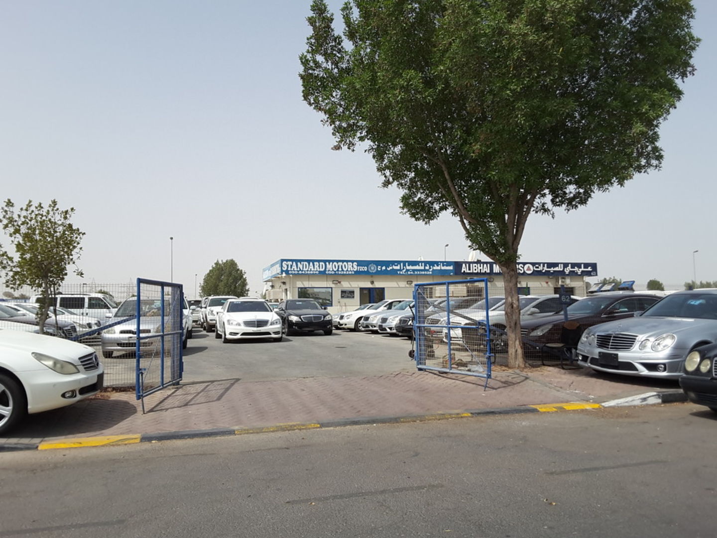 HiDubai-business-standard-motors-transport-vehicle-services-used-car-dealers-ras-al-khor-industrial-3-dubai-2