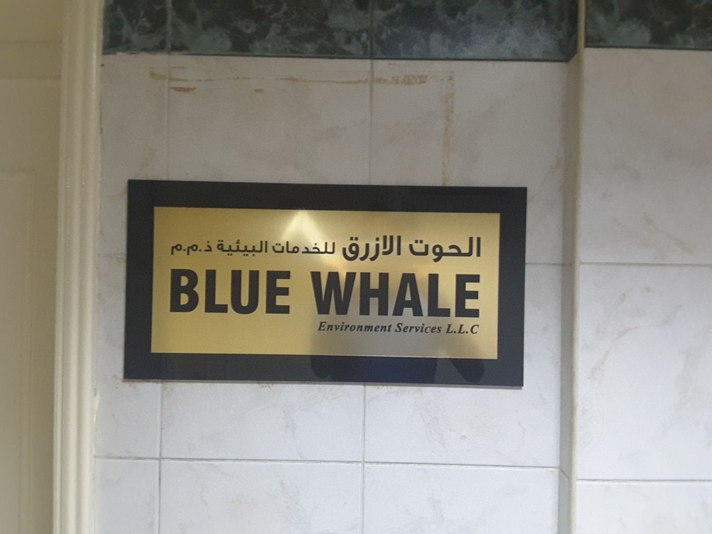 HiDubai-business-blue-whale-environment-services-construction-heavy-industries-environmental-agricultural-companies-hor-al-anz-east-dubai