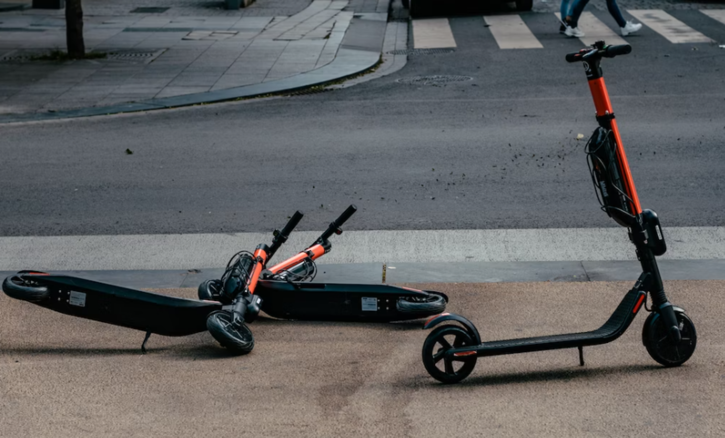 HiDubai-business-h-k-nice-season-fashion-b2b-services-distributors-wholesalers-international-city-warsan-1-dubai