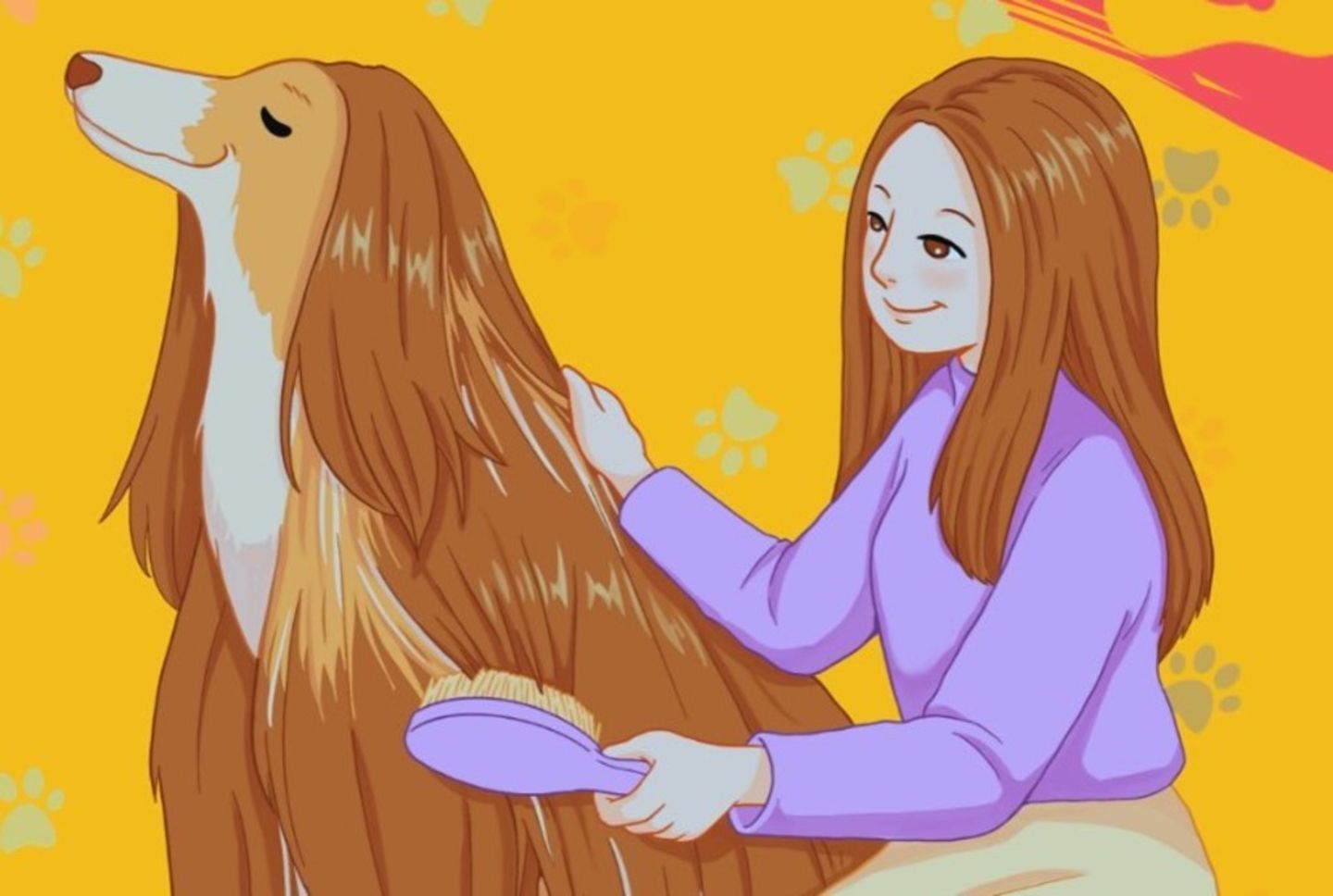 HiDubai-business-pawfessor-pets-grooming-animals-pets-plants-pet-grooming-centres-naif-dubai