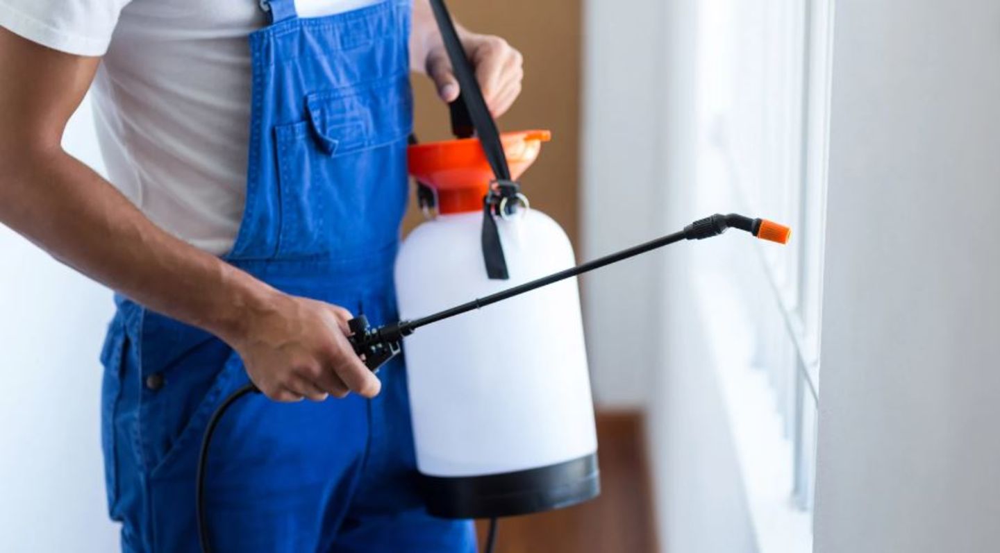 HiDubai-business-rouh-al-emiarat-facility-management-home-cleaning-services-ras-al-khor-industrial-2-dubai