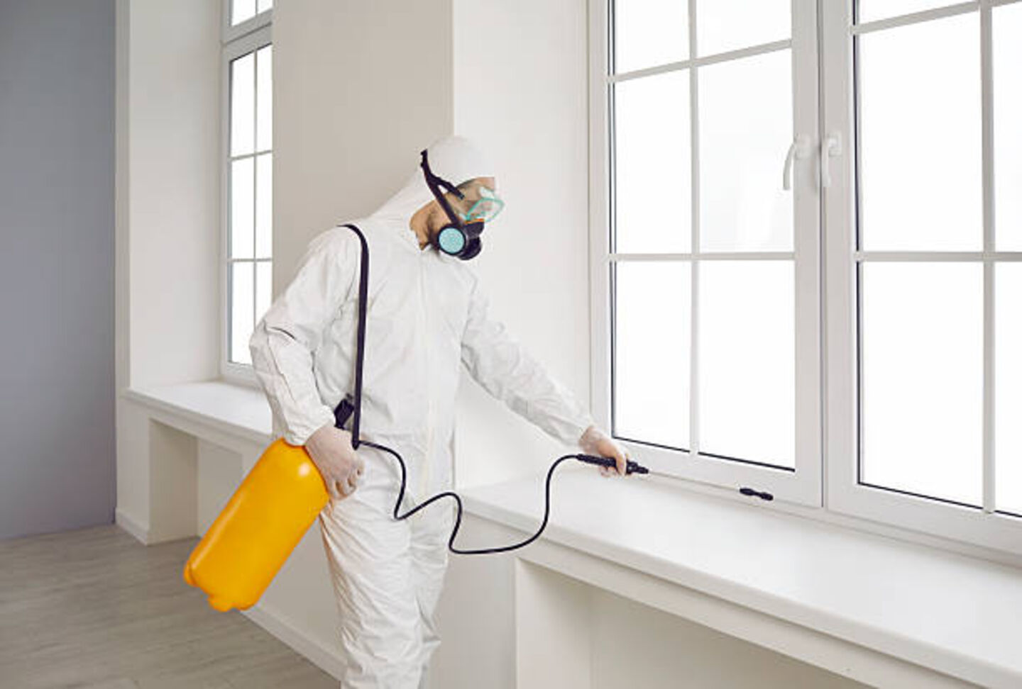 HiDubai-business-bio-sweep-middle-east-disinfection-services-home-pest-control-disinfection-services-al-garhoud-dubai