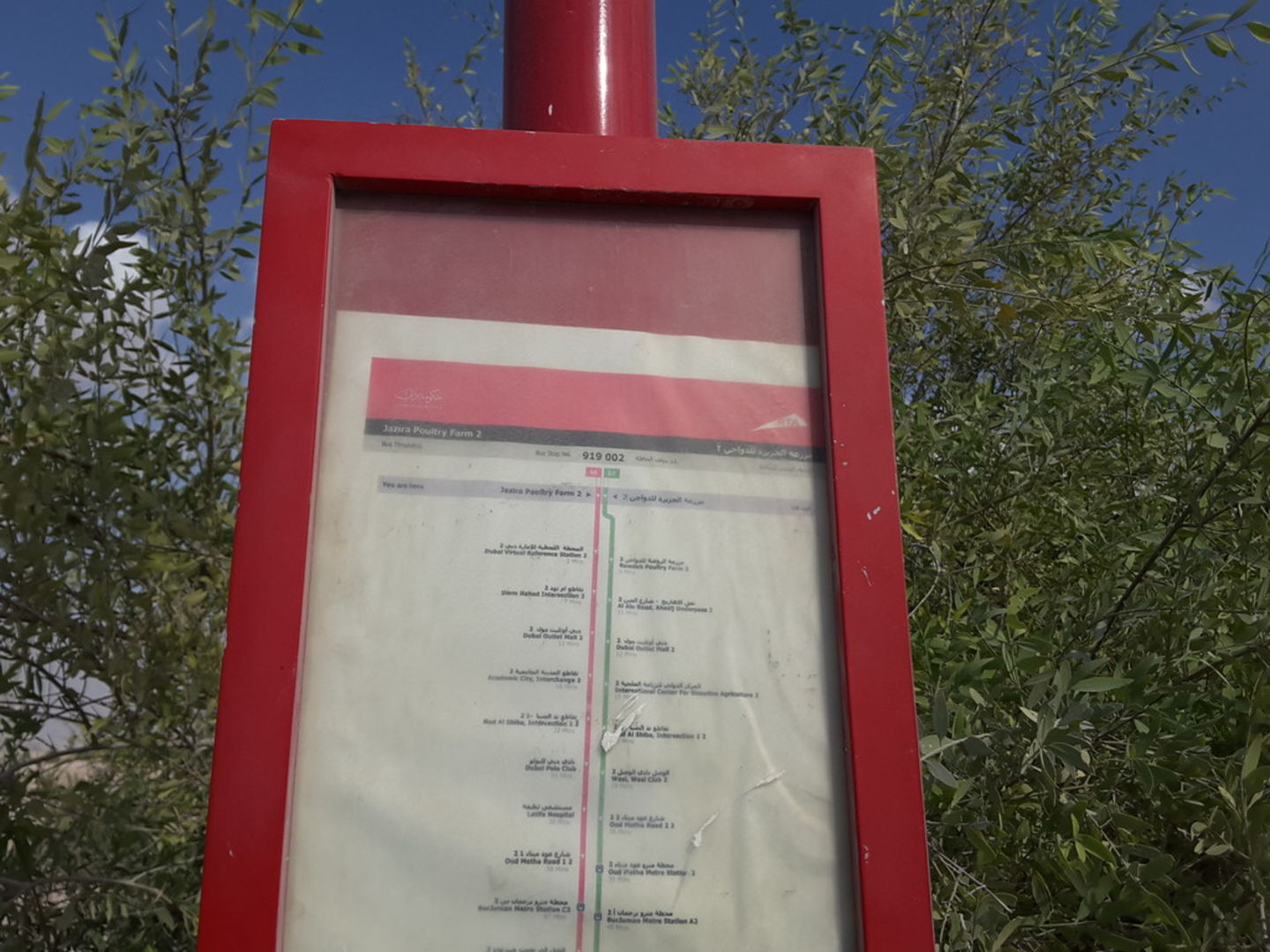 HiDubai-business-jazira-poulty-farm-2-bus-stop-transport-vehicle-services-public-transport-margham-dubai-2