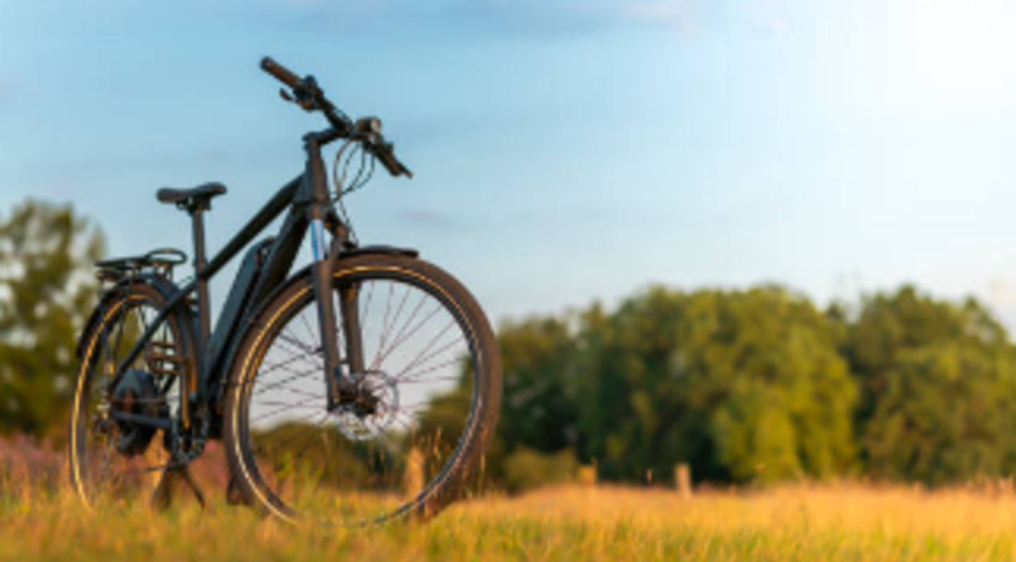 HiDubai-business-friend-bicycle-trading-transport-vehicle-services-bicycles-dealers-al-karama-dubai