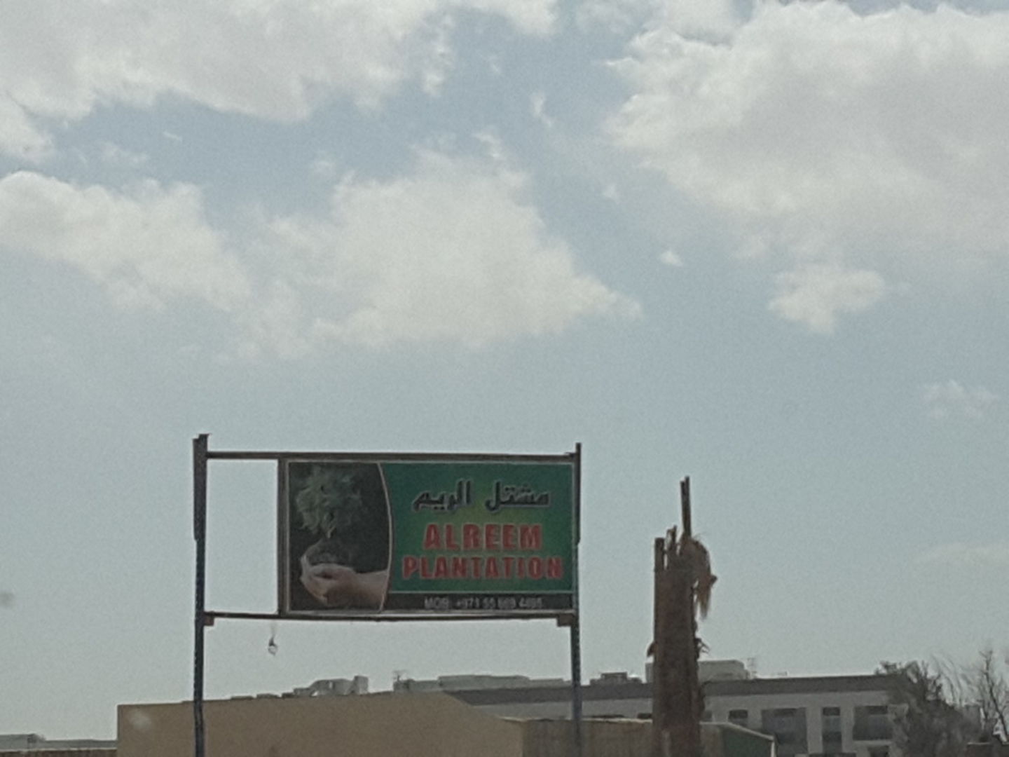 HiDubai-business-alreem-plantation-b2b-services-distributors-wholesalers-warsan-3-dubai