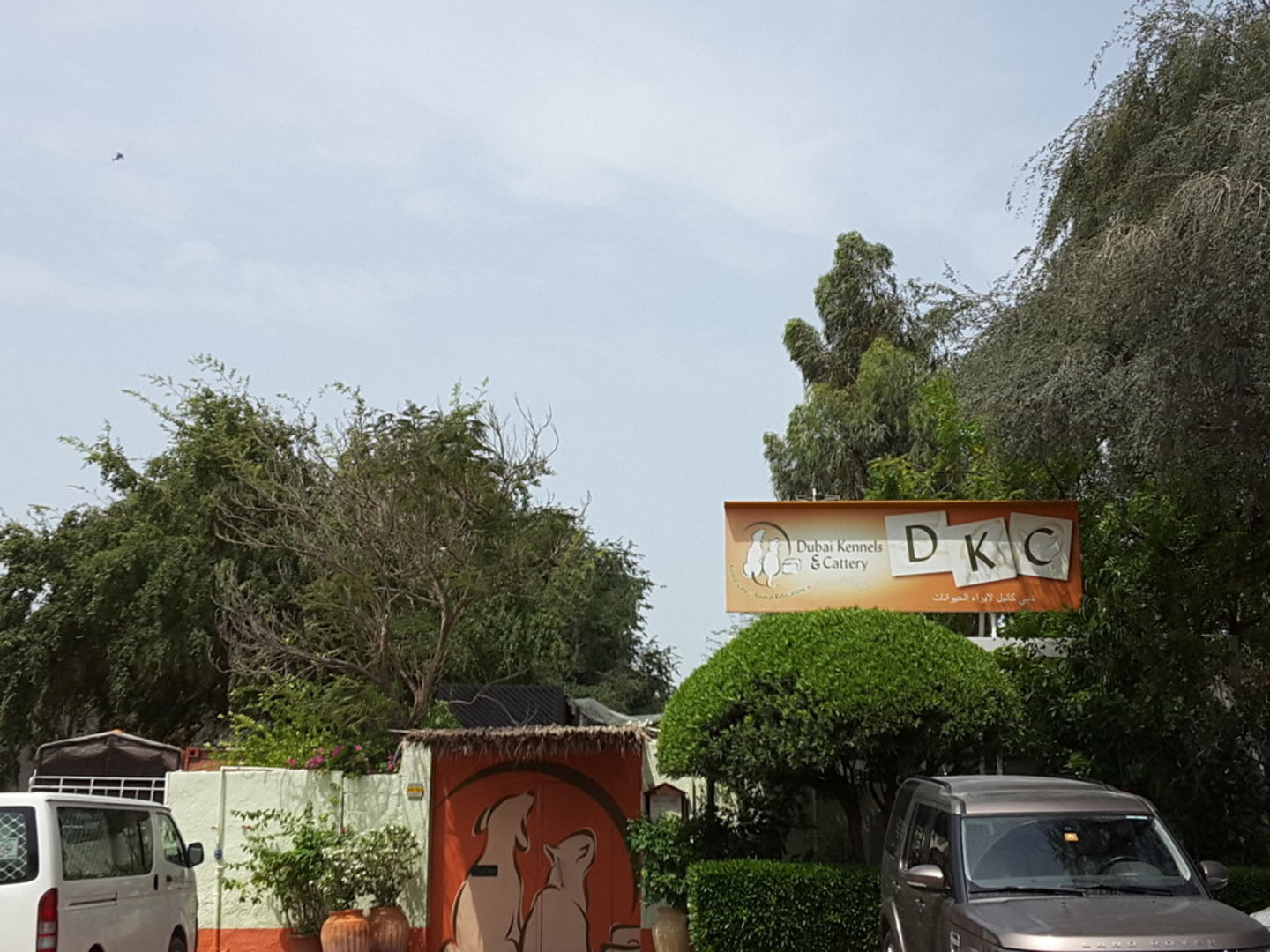 Dubai Kennels & Cattery, (Animal Training Centres) in Umm Ramool, Dubai