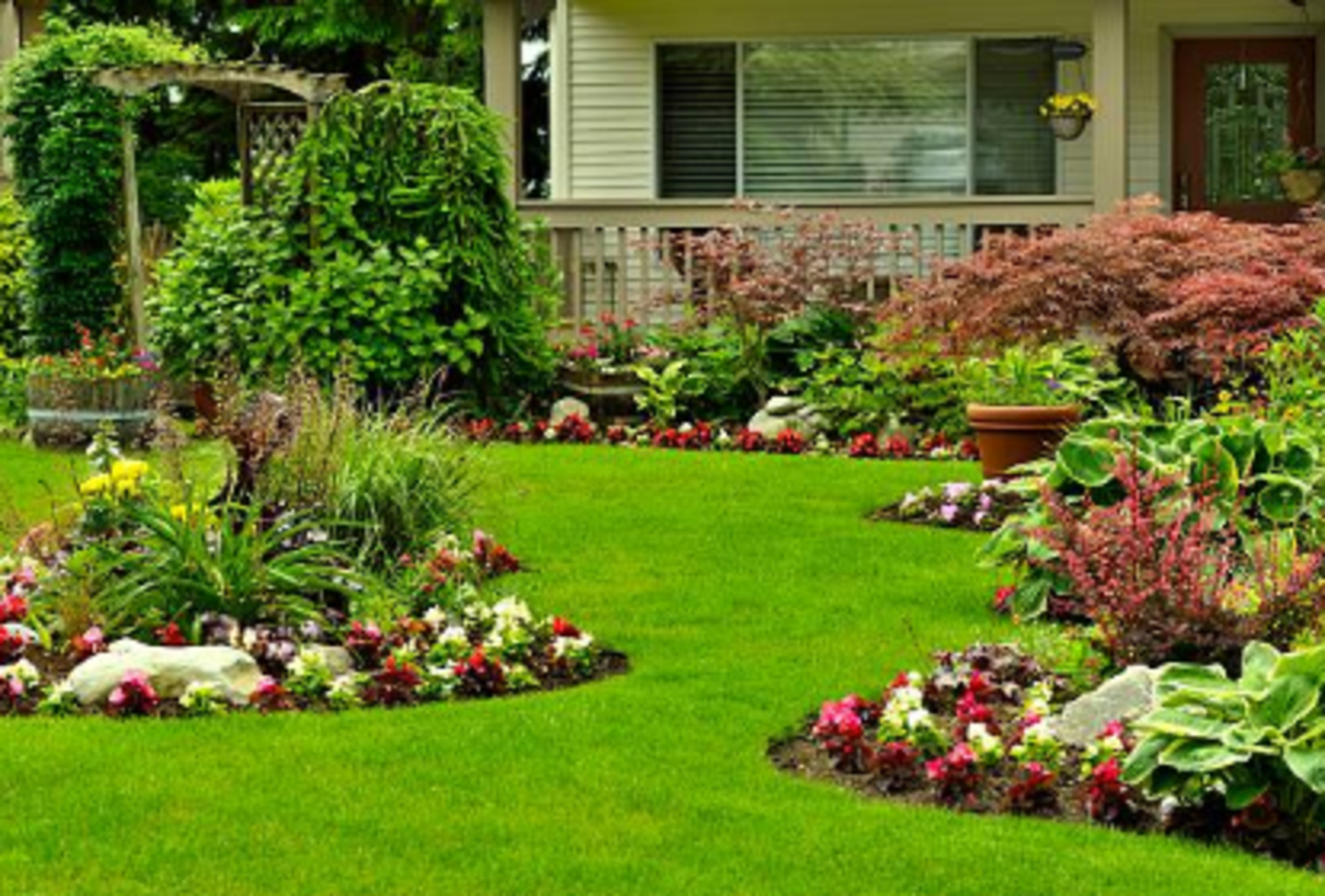 HiDubai-business-naseem-al-bustan-trees-annual-flowers-animals-pets-plants-plants-gardening-stores-warsan-3-dubai