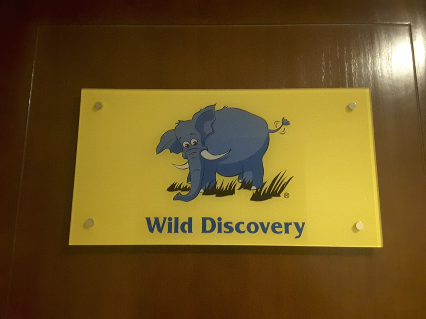 HiDubai-business-wild-discovery-tourism-holidays-hotels-tourism-local-tours-activities-business-bay-dubai-2