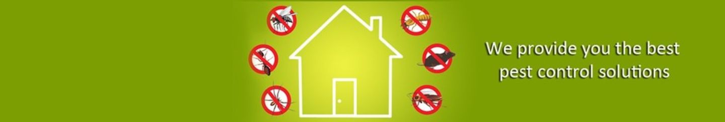 HiDubai-business-al-arfa-pest-control-tanks-clening-service-home-pest-control-disinfection-services-international-city-warsan-1-dubai
