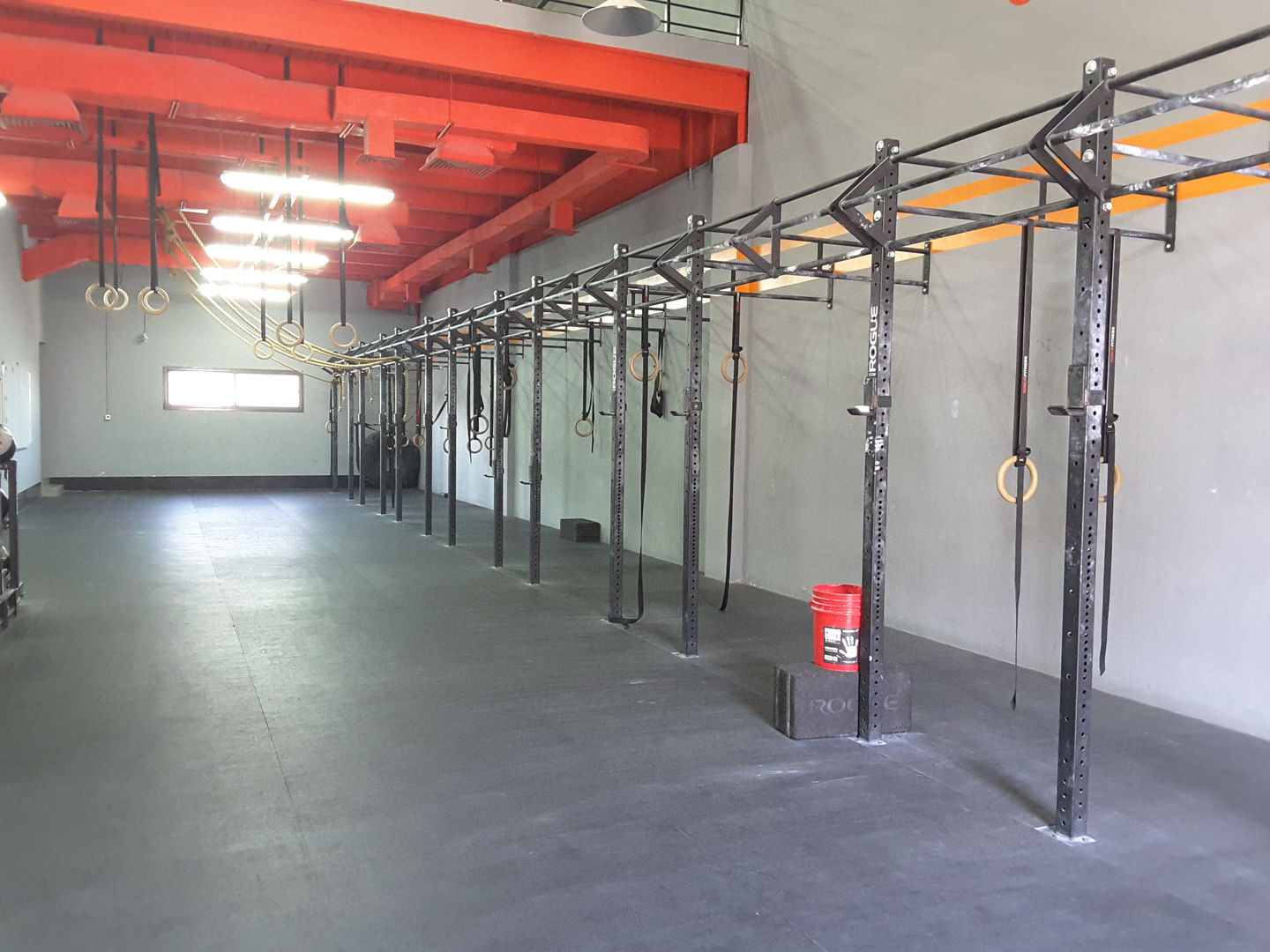 HiDubai-business-rig-crossfit-sports-fitness-gyms-fitness-centres-pools-al-quoz-1-dubai-2