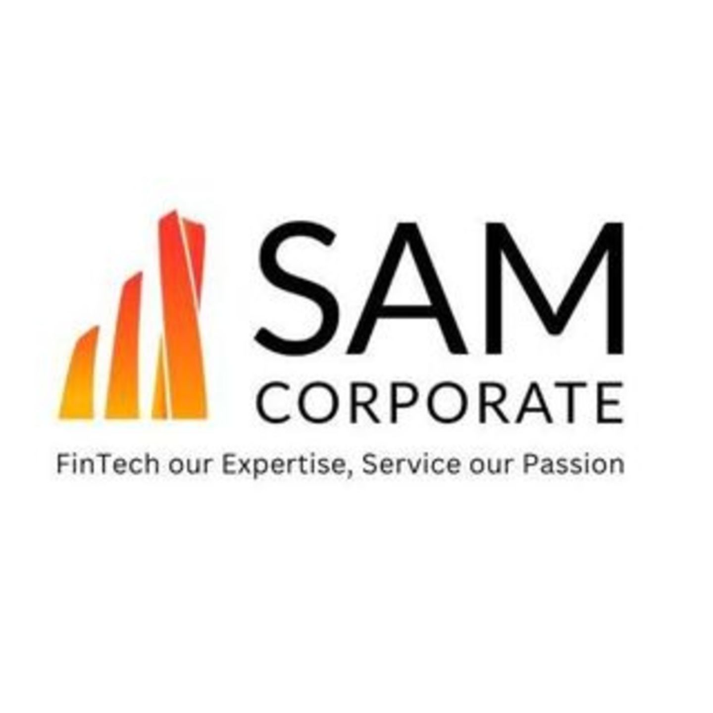 HiDubai-business-sam-corporate-b2b-services-it-services-barsha-heights-tecom-dubai