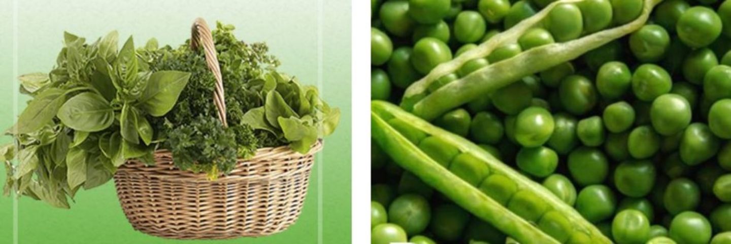 HiDubai-business-tamil-bazaar-grocery-store-shopping-supermarkets-hypermarkets-grocery-stores-al-nahda-2-dubai