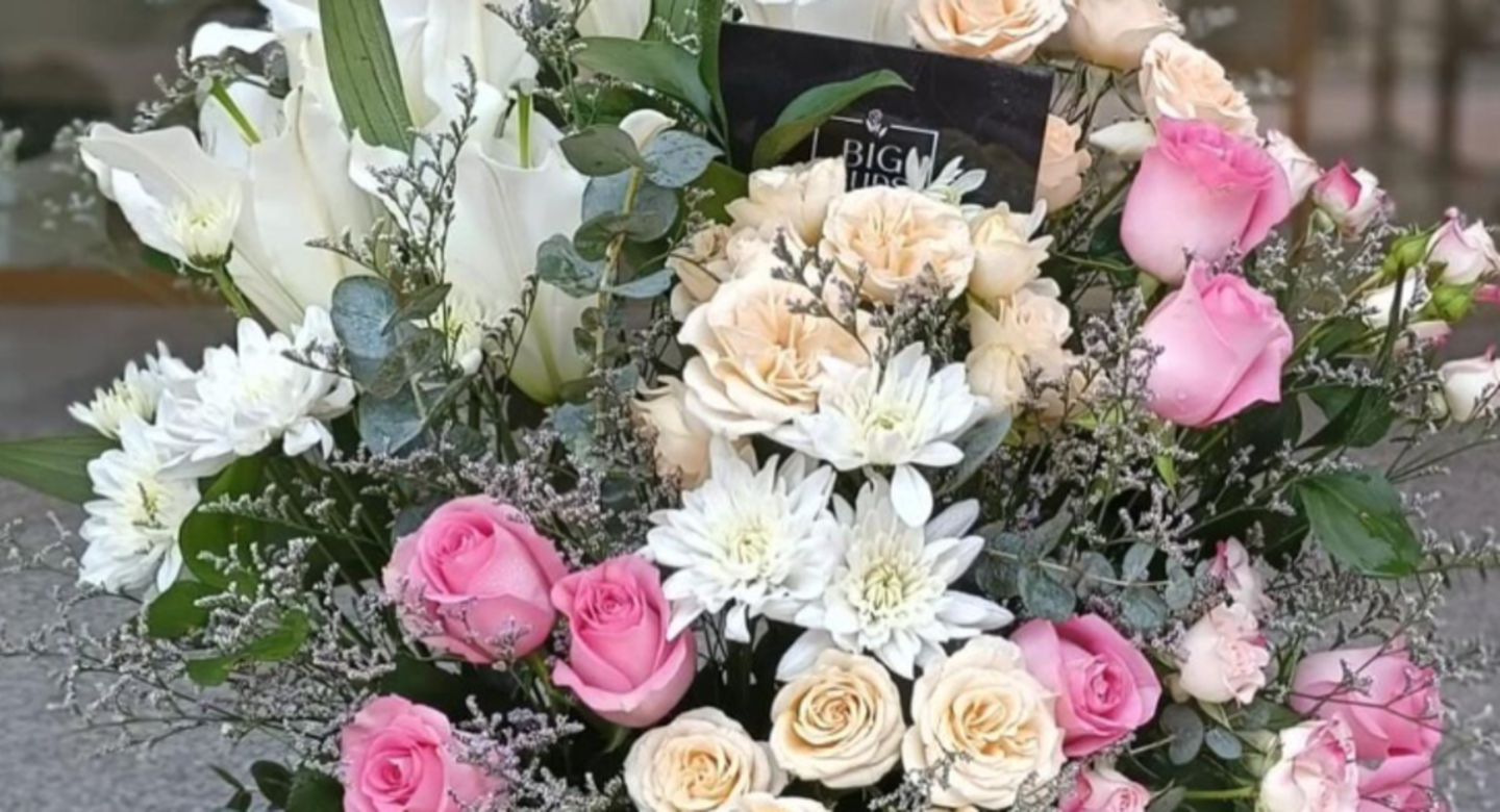 HiDubai-business-big-buds-flowers-animals-pets-plants-plants-gardening-stores-oud-metha-dubai