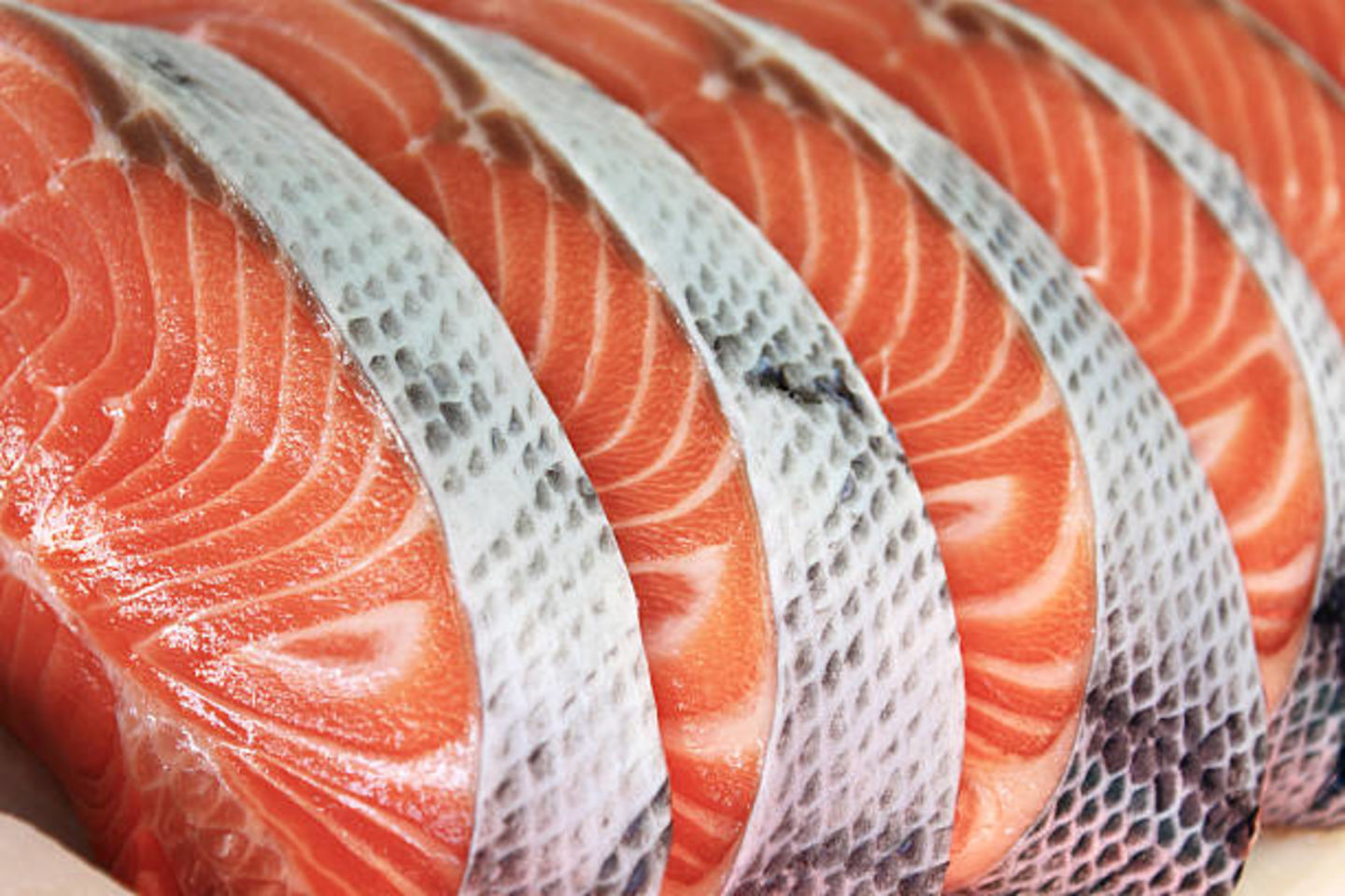 HiDubai-business-zain-al-madina-fish-and-meat-trading-l-l-c-b2b-services-food-stuff-trading-international-city-warsan-1-dubai