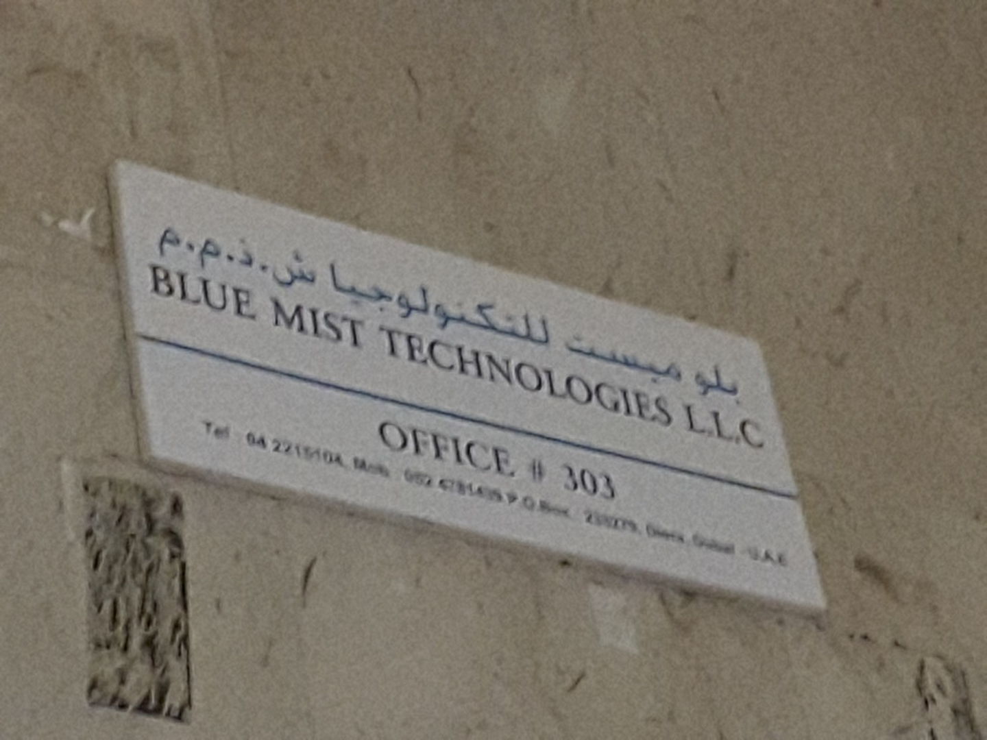 HiDubai-business-blue-mist-technologies-b2b-services-it-services-al-murar-dubai-2