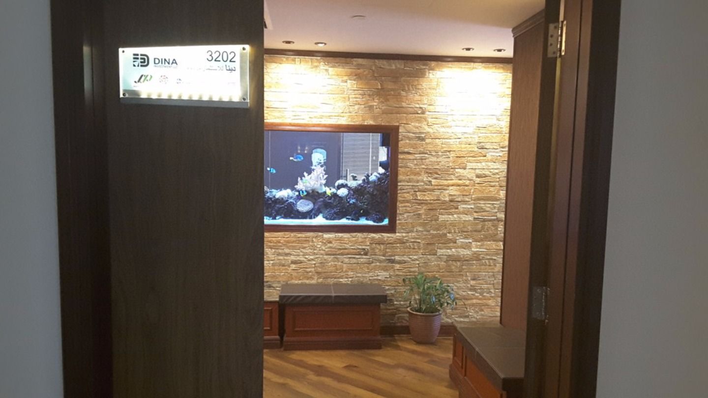 HiDubai-business-dina-investment-finance-legal-financial-services-business-bay-dubai-2