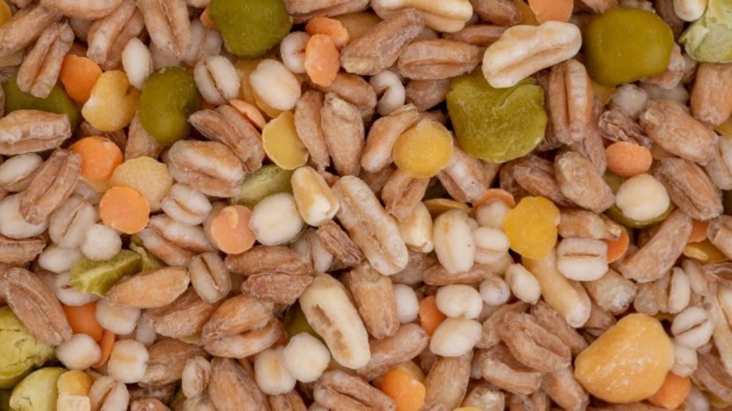 HiDubai-business-morgen-land-foodstuff-trading-b2b-services-food-stuff-trading-port-saeed-dubai