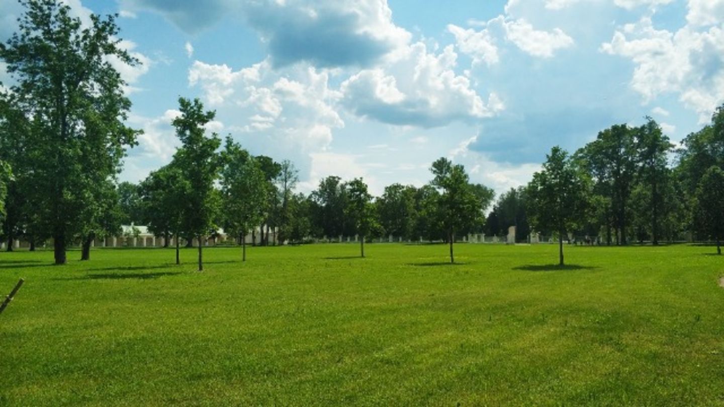 HiDubai-business-al-noor-park-leisure-culture-parks-beaches-al-qusais-1-dubai