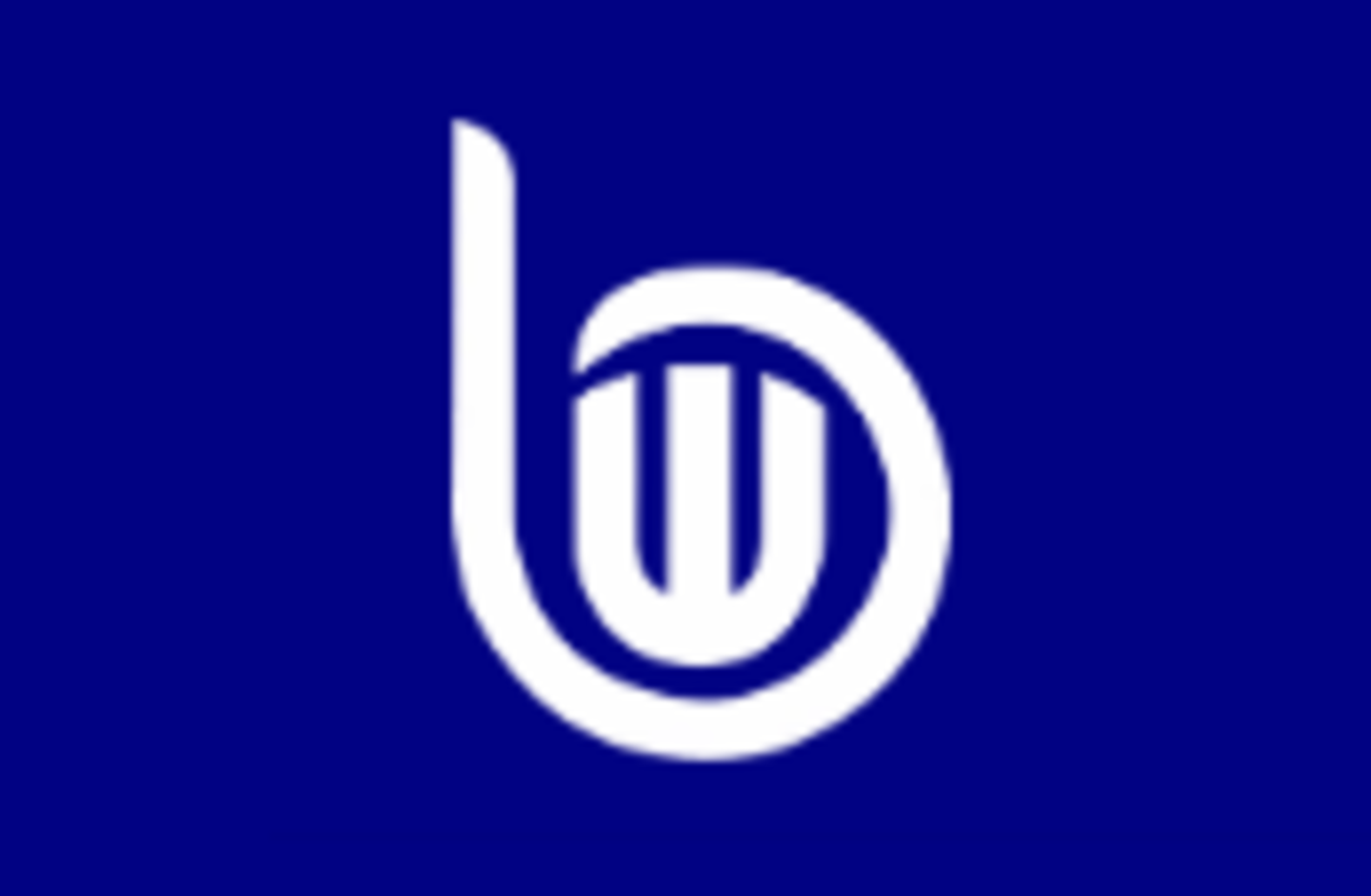 HiDubai-business-big-wig-marketing-management-media-marketing-it-media-publishing-port-saeed-dubai