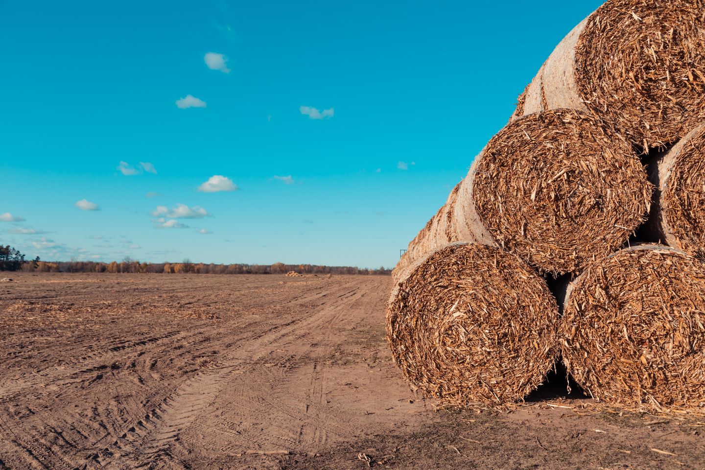 Fodder Trading Ali Malik Fodders Trading Est.(Distributors & Wholesalers) in Al Qusais ...