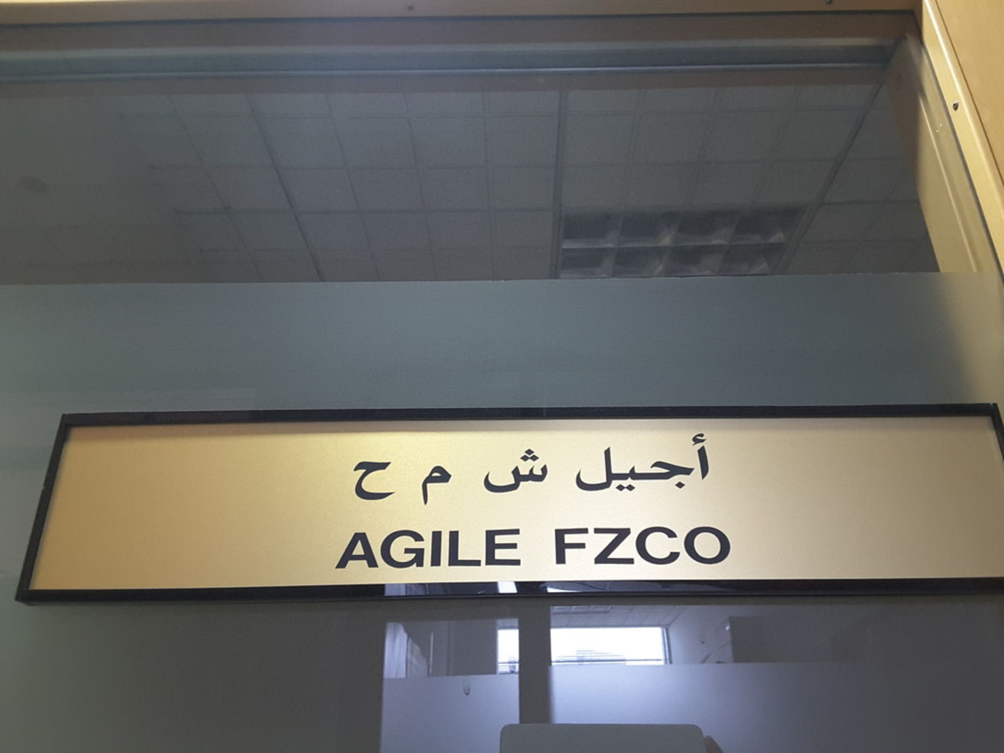 HiDubai-business-agile-fzco-b2b-services-distributors-wholesalers-jebel-ali-free-zone-mena-jebel-ali-dubai-2