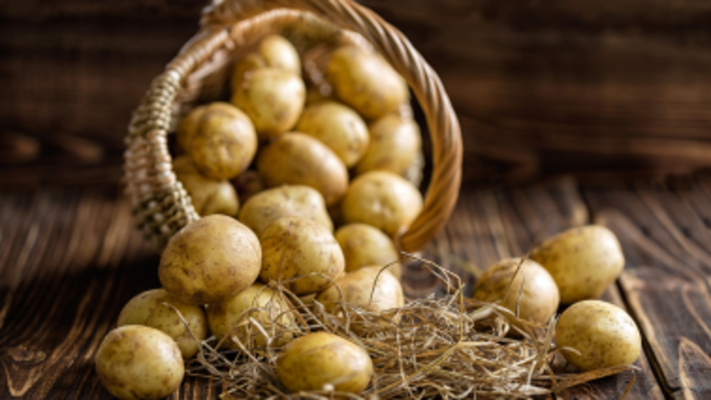 HiDubai-business-zaheer-ahmad-potatoes-trading-b2b-services-food-stuff-trading-ras-al-khor-industrial-3-dubai