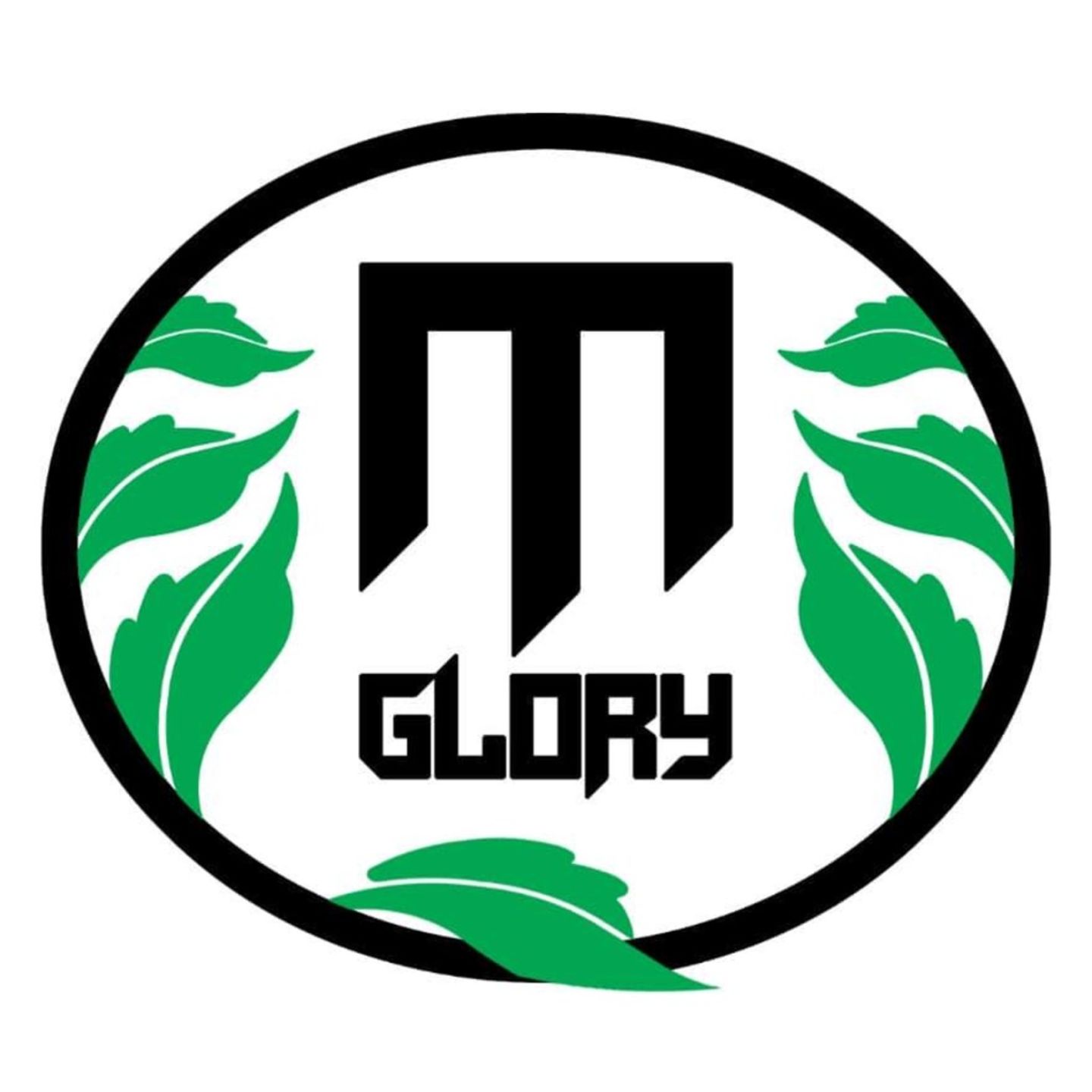 HiDubai-business-m-glory-holding-b2b-services-holding-companies-green-community-dubai-investment-park-1-dubai