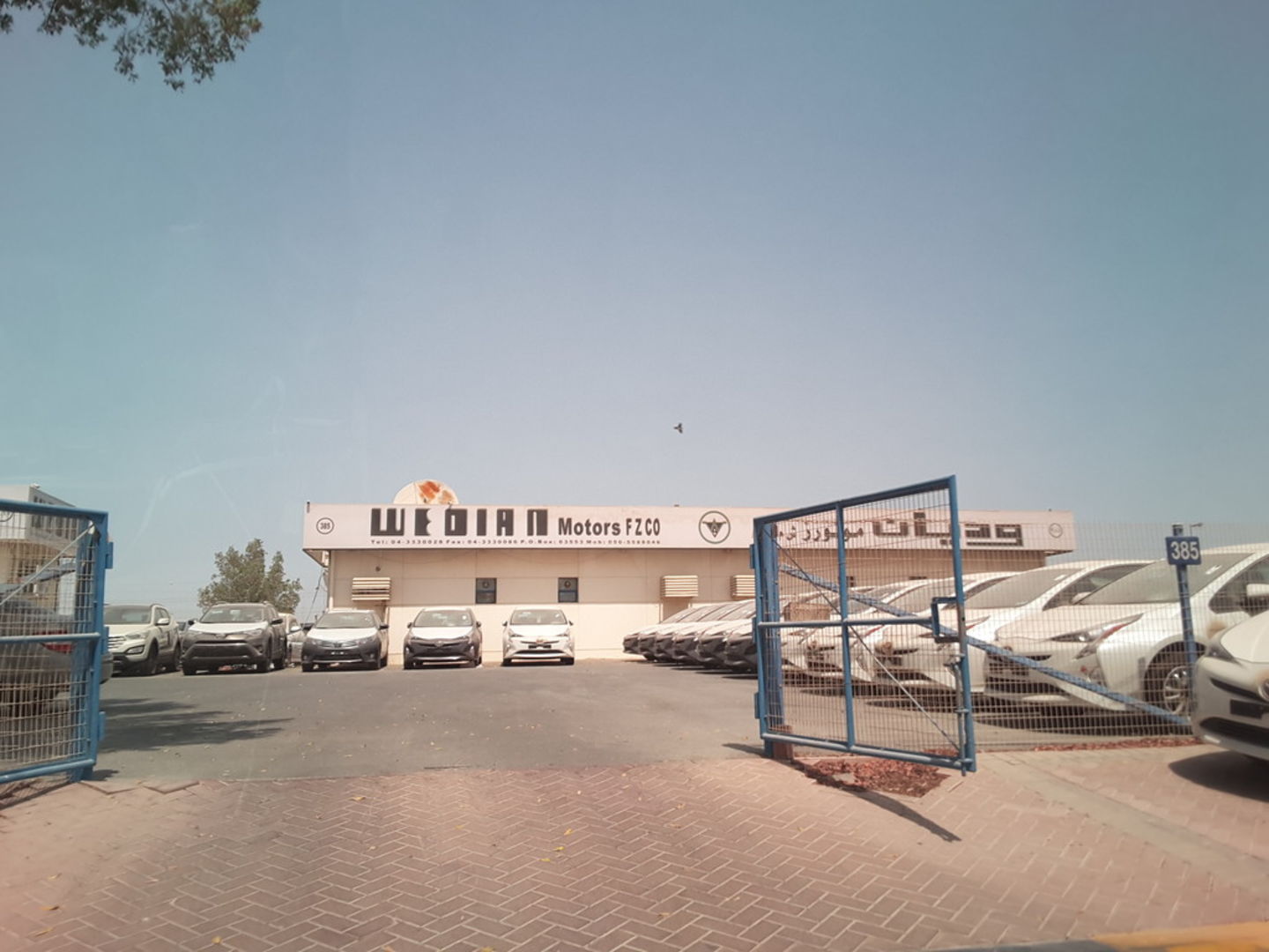 HiDubai-business-wedian-motors-transport-vehicle-services-used-car-dealers-ras-al-khor-industrial-3-dubai-2