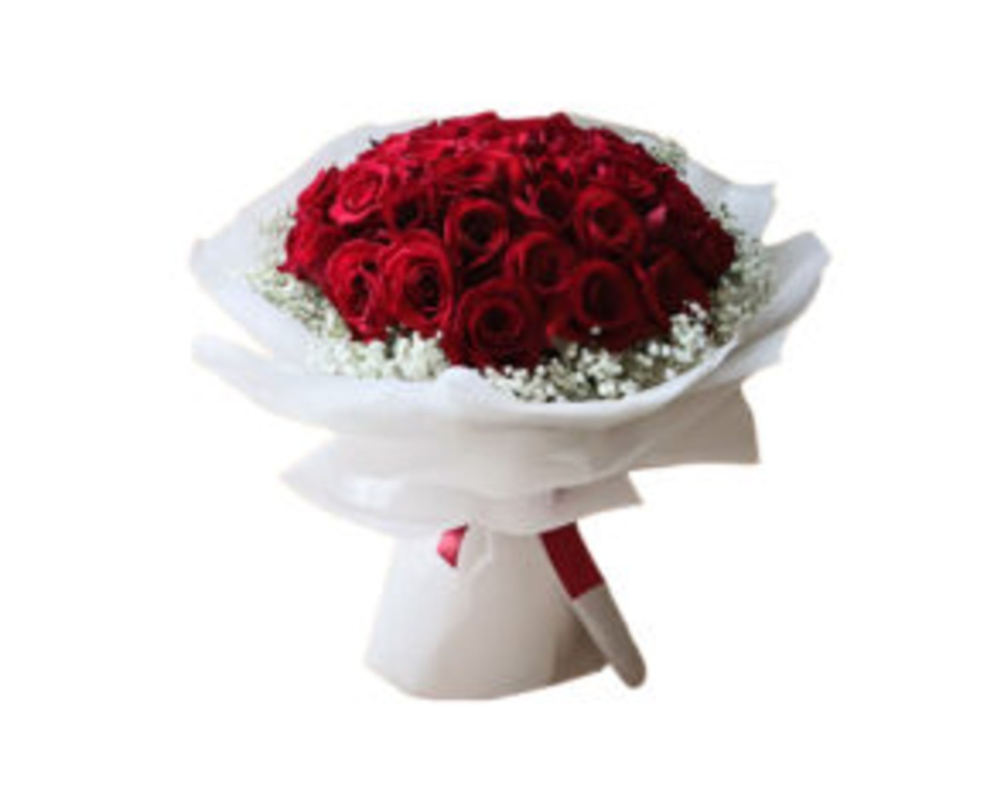 HiDubai-business-divine-bloom-flowers-animals-pets-plants-plants-gardening-stores-oud-metha-dubai