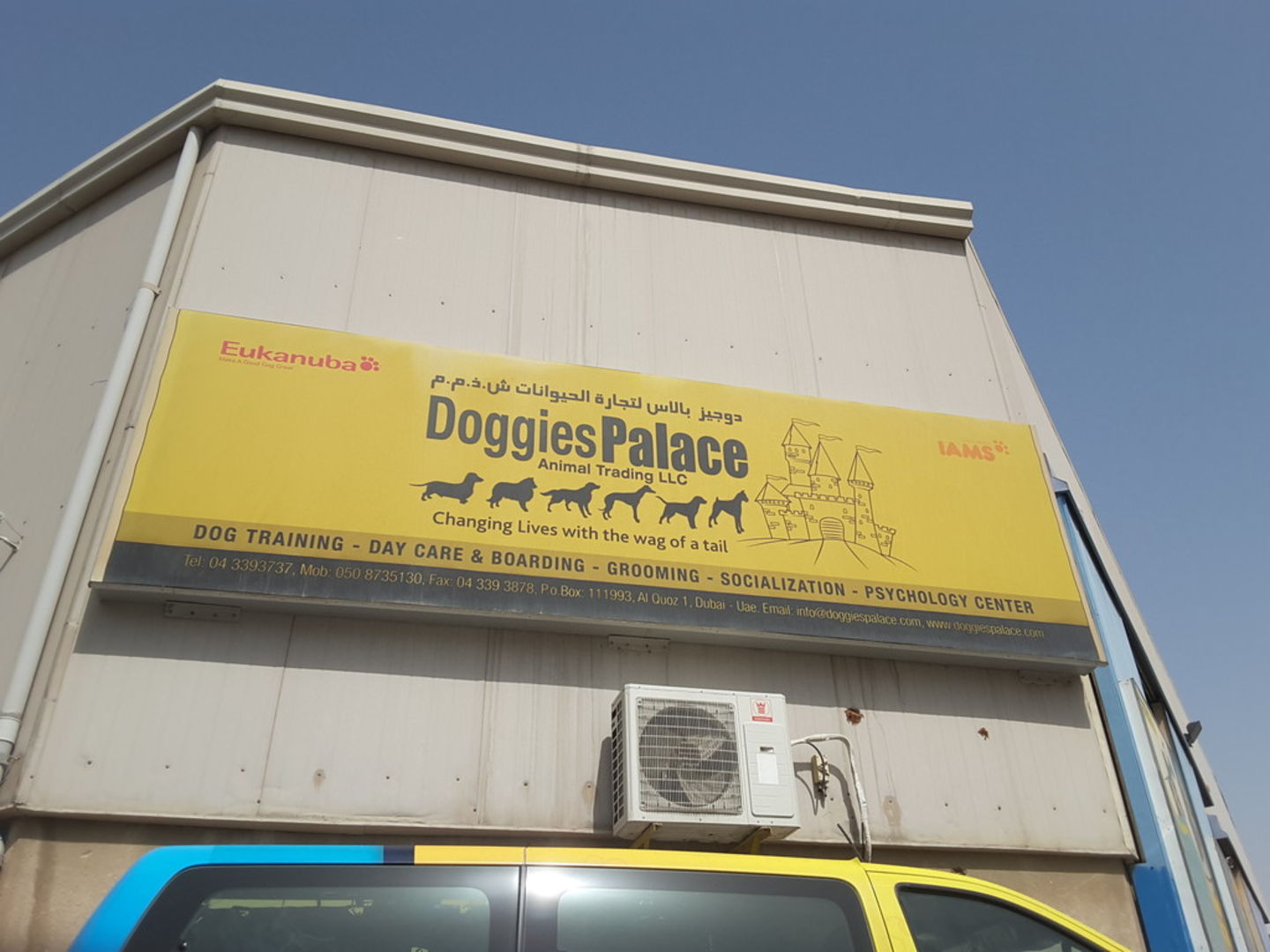 HiDubai-business-doggies-palace-animals-pets-plants-animal-training-centres-al-quoz-3-dubai-5