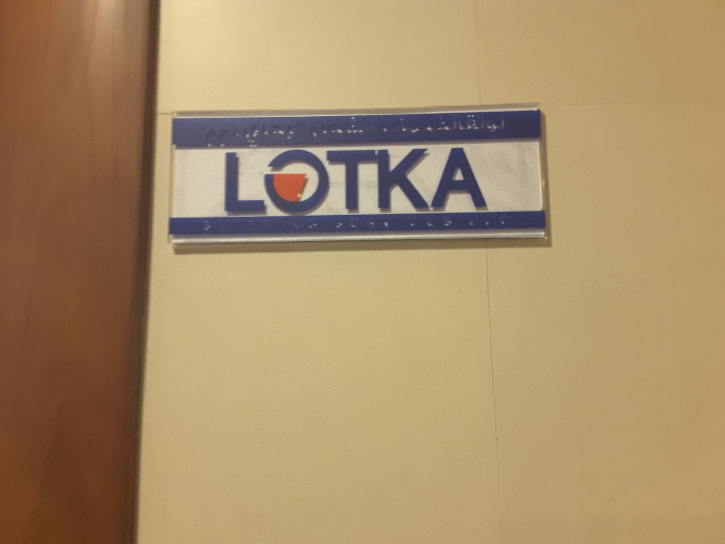 HiDubai-business-lotka-shipping-services-shipping-logistics-sea-cargo-services-al-barsha-1-dubai-2