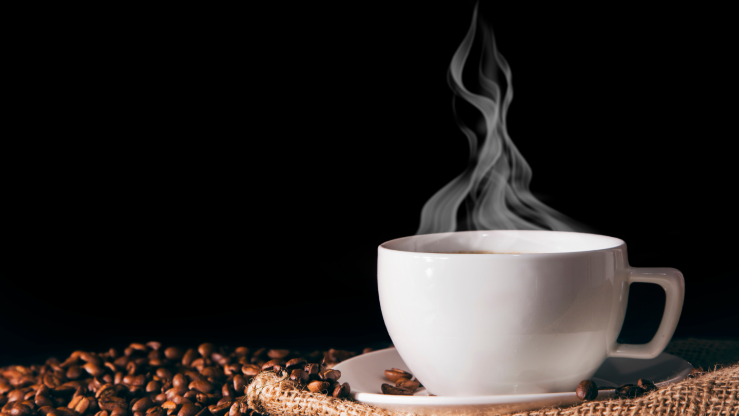 HiDubai-business-sophia-cafe-food-beverage-restaurants-bars-nad-al-hammar-dubai