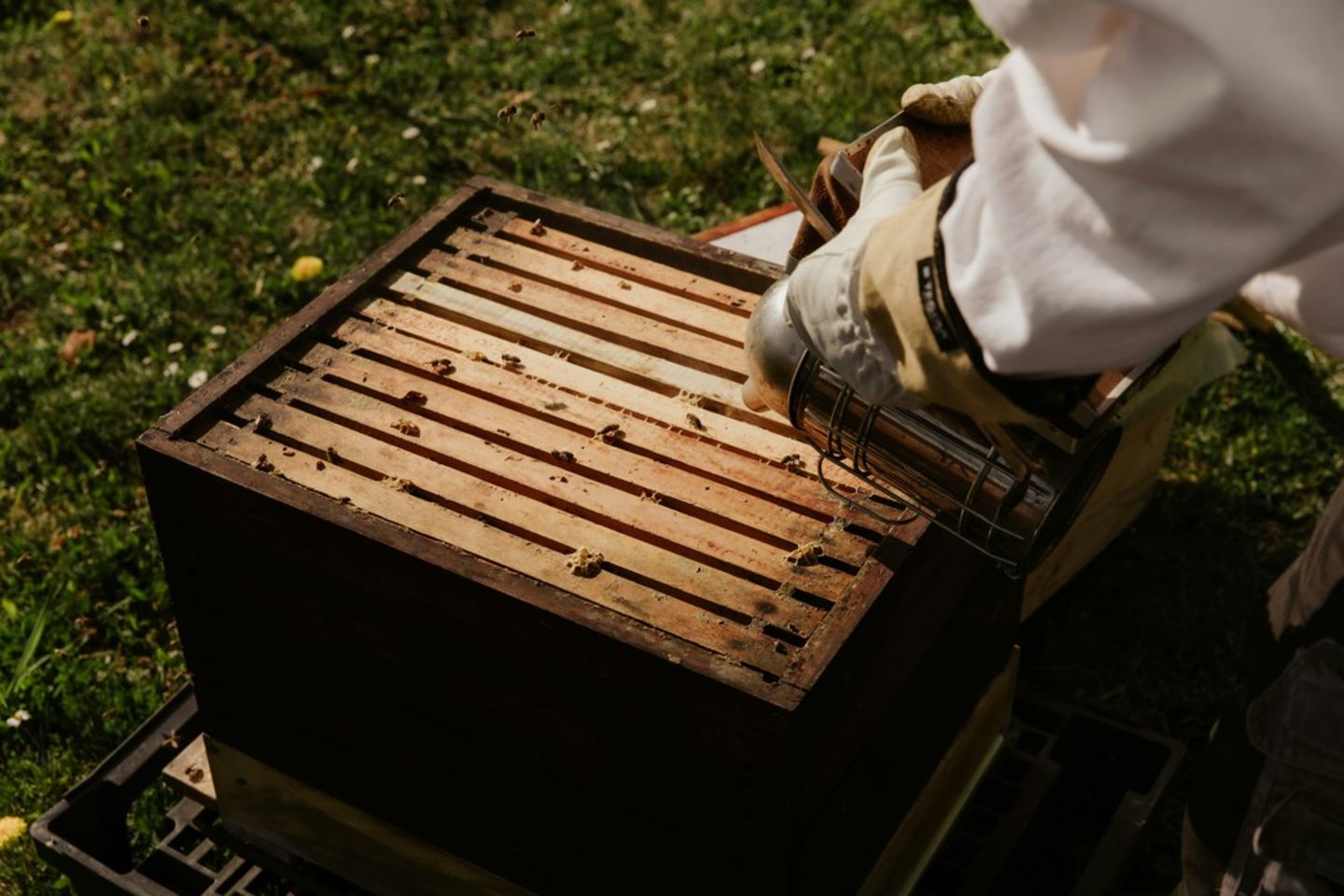 Desert Turfcare Gardens Maintenance(Garden & Outdoor) in Al Quoz