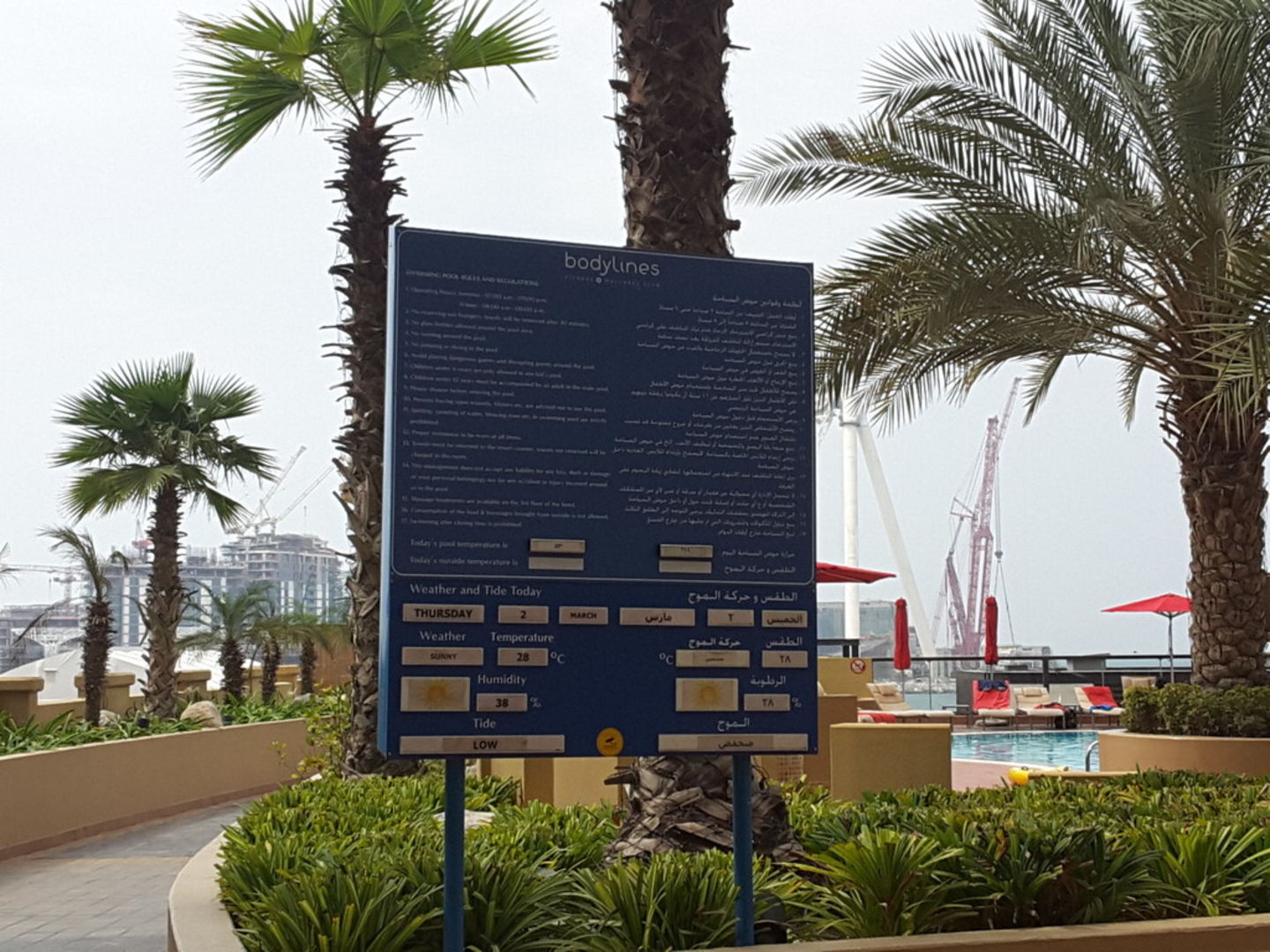 HiDubai-business-bodyline-fitness-and-wellness-club-sports-fitness-gyms-fitness-centres-pools-jumeirah-beach-residence-marsa-dubai-dubai-2