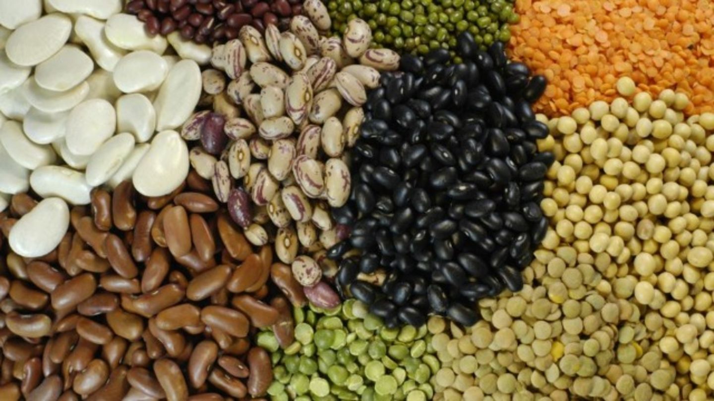 HiDubai-business-umai-star-general-trading-b2b-services-food-stuff-trading-naif-dubai