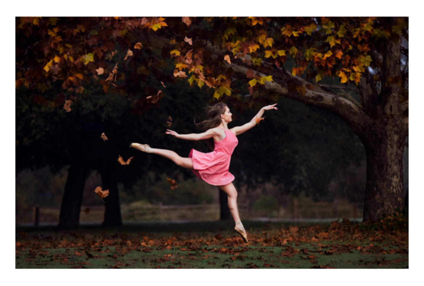 HiDubai-business-i-dream-studio-vocational-services-art-photography-services-jumeirah-village-circle-al-barsha-south-4-dubai