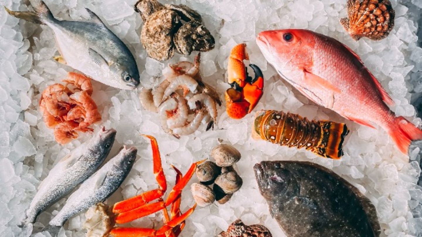 HiDubai-business-ocean-fish-trading-b2b-services-distributors-wholesalers-nad-al-hammar-dubai-1