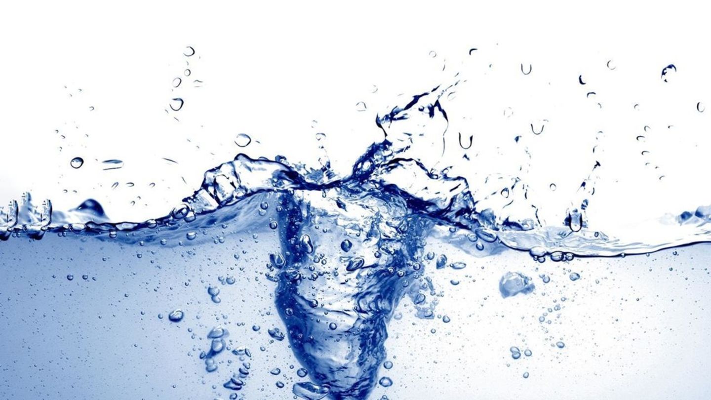 HiDubai-business-virginia-middle-east-trading-br-of-virginia-investment-international-b2b-services-food-stuff-trading-dubai-marina-marsa-dubai-dubai