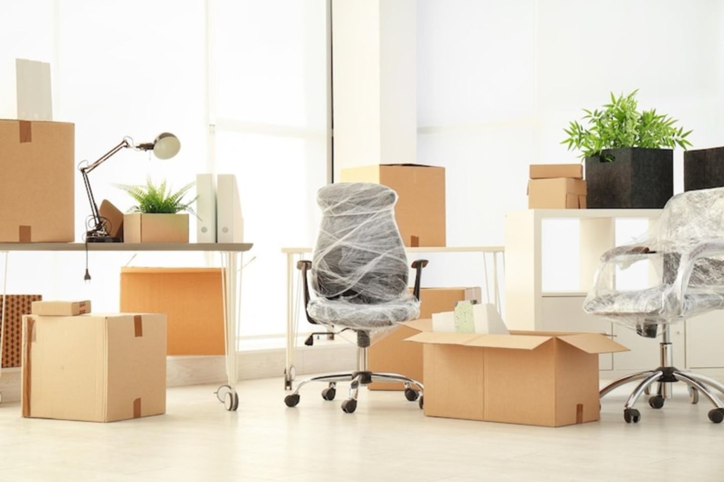 HiDubai-business-self-box-storage-management-operations-shipping-logistics-moving-storage-services-dubai-textile-city-warsan-1-dubai